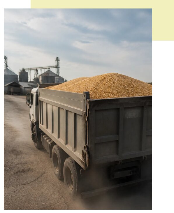 Перевозка сельхозпродукции навалом в Омск по цене от 3111 р. | Агросервис-Омс