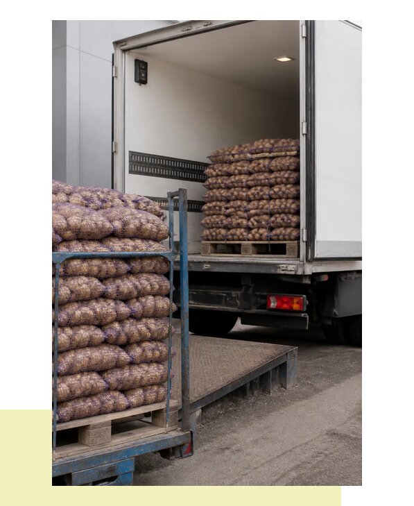 Перевозка раннего картофеля в Омск с гарантией сроков